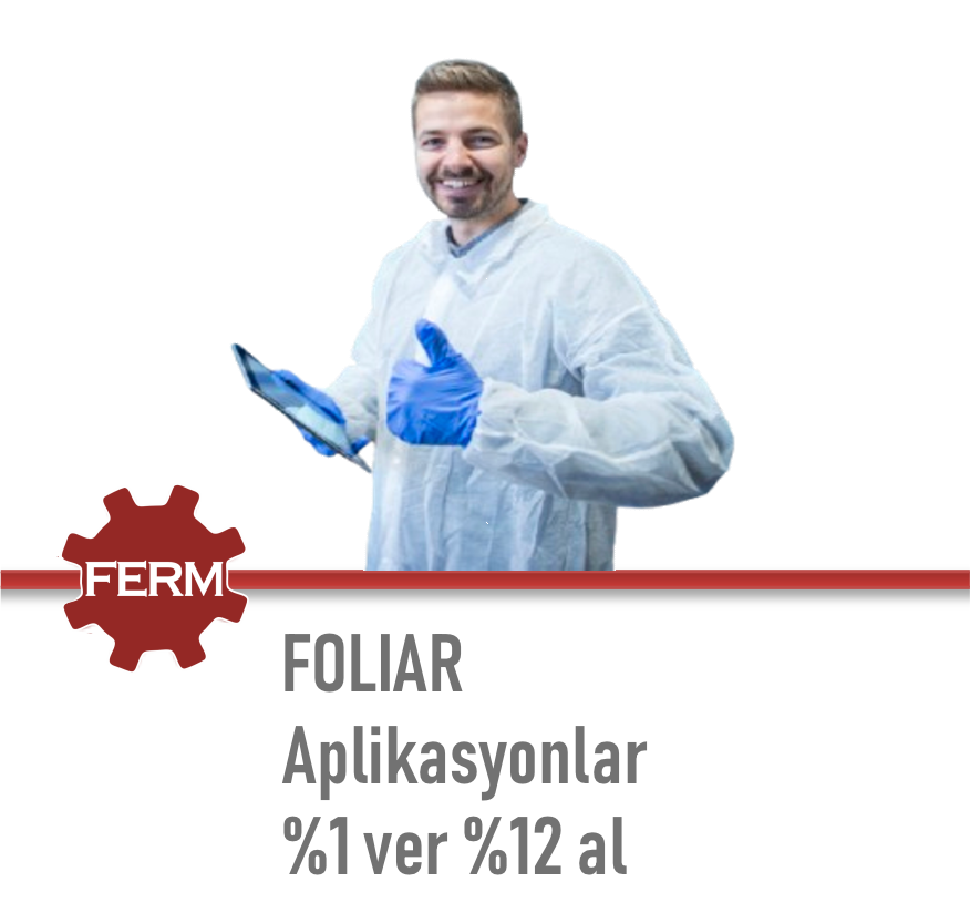 2 Nesneden Oluşan Grup (5)