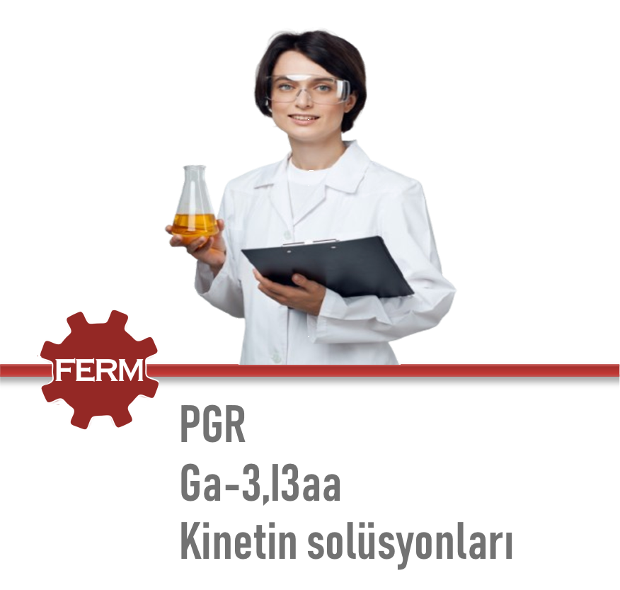 2 Nesneden Oluşan Grup (6)