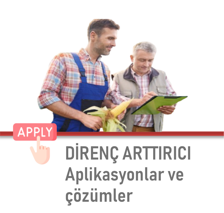 4 Nesneden Oluşan Grup (18)