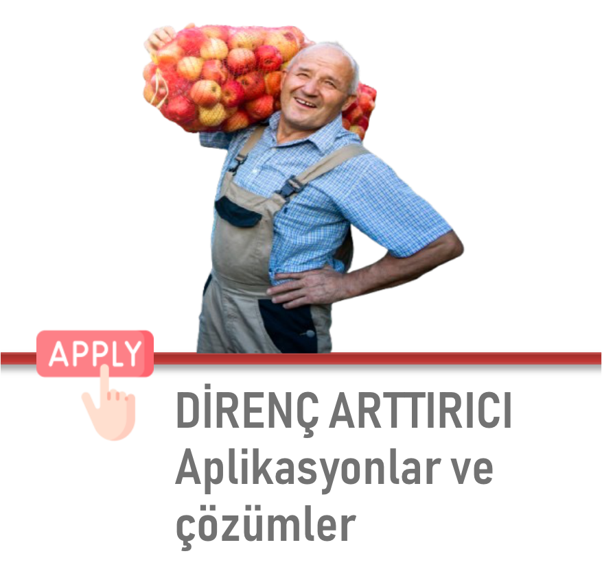 4 Nesneden Oluşan Grup (19)