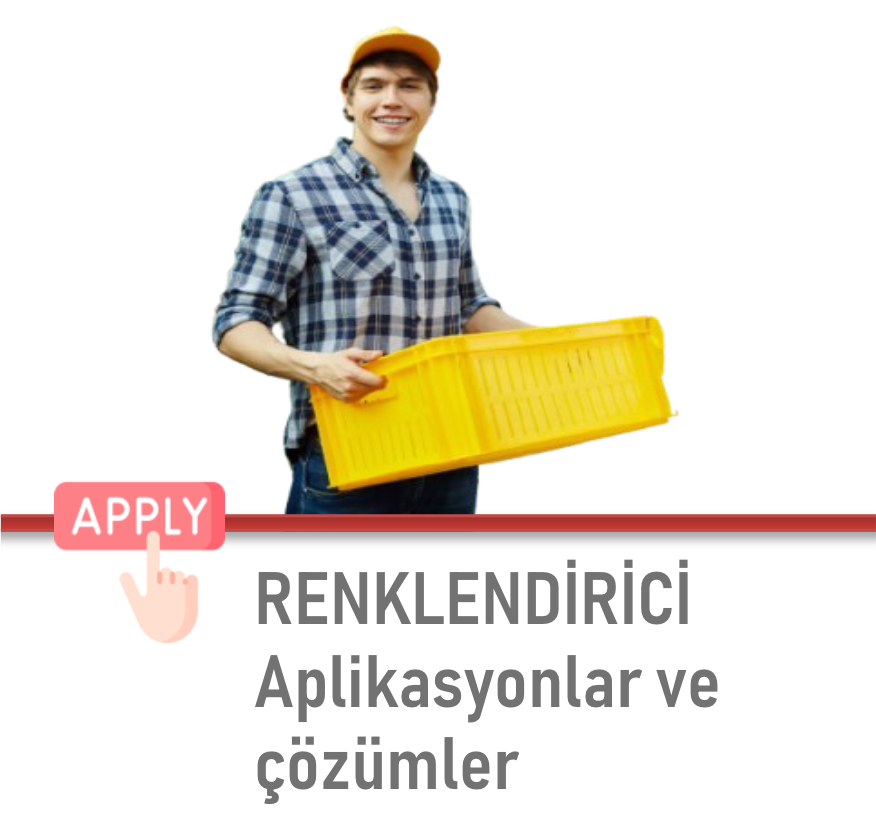 4 Nesneden Oluşan Grup (20)