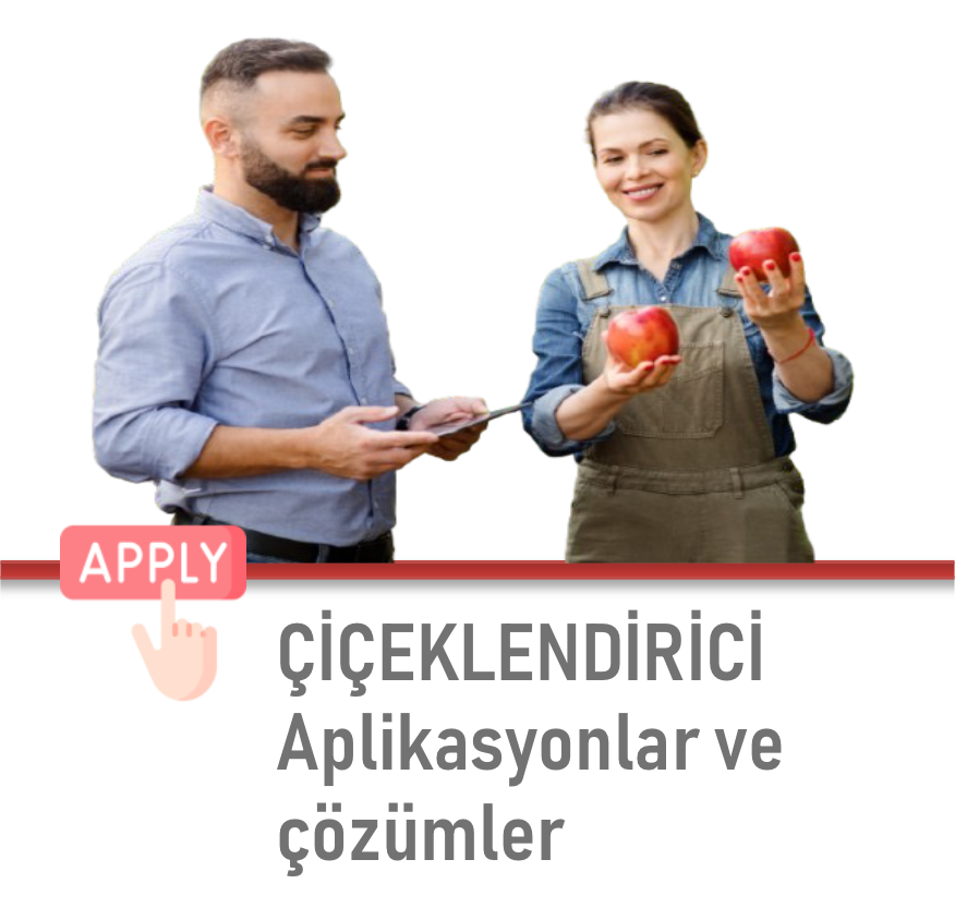 4 Nesneden Oluşan Grup (21)