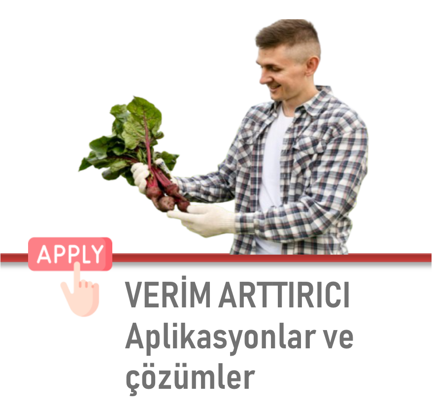 4 Nesneden Oluşan Grup (23)