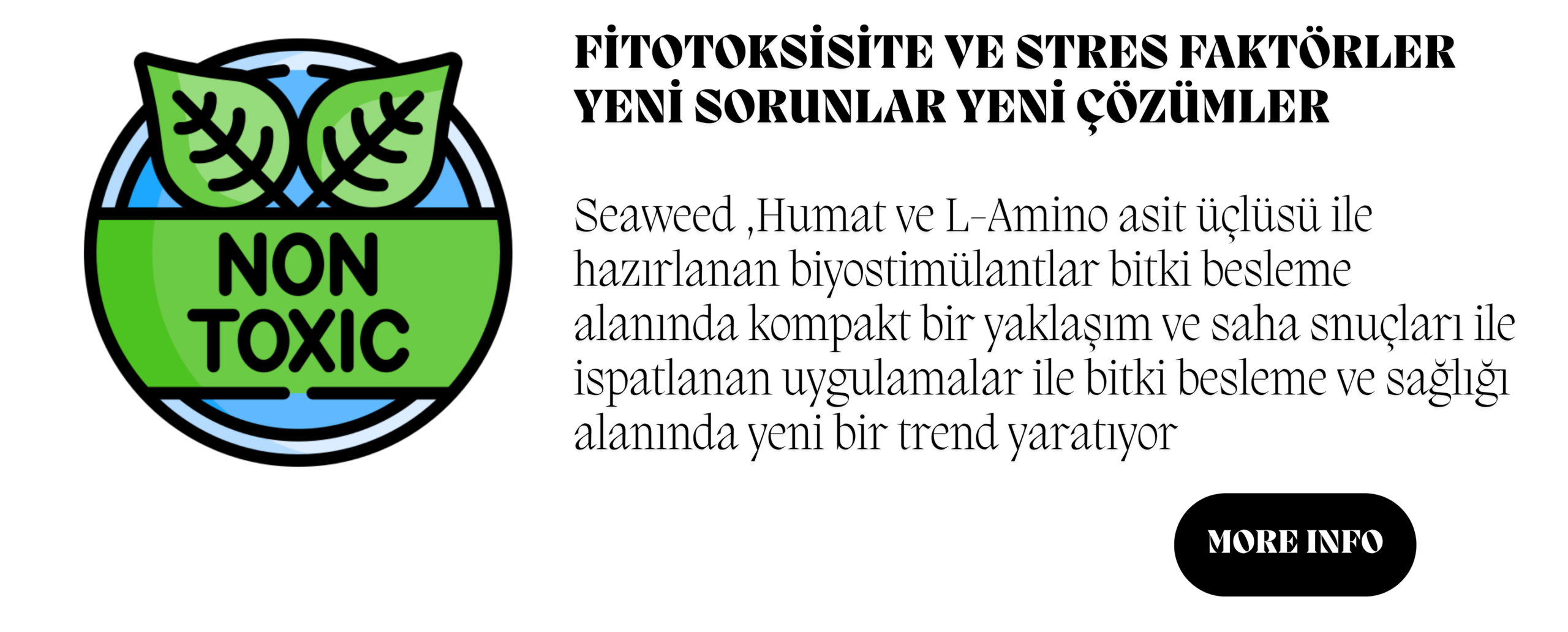 PowerClip Uygulanmış Dikdörtgen (4)