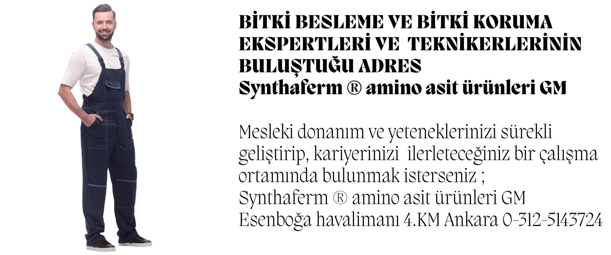PowerClip Uygulanmış Dikdörtgen